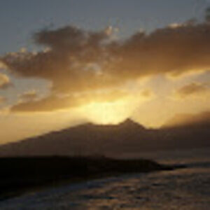 Meet your Posher, Jessie